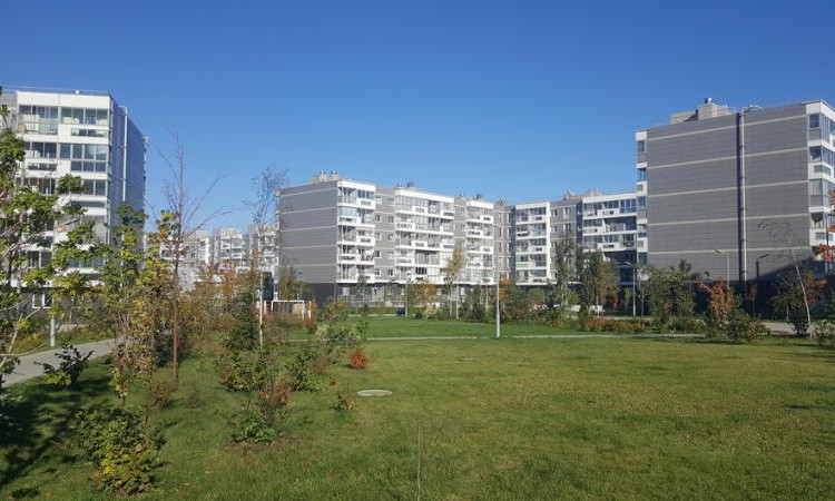 ЖК Ромашково