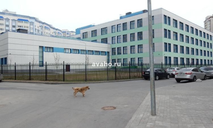 Микрорайон Новое Домодедово