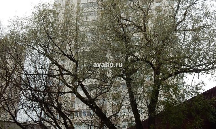 ЖК Аксиома
