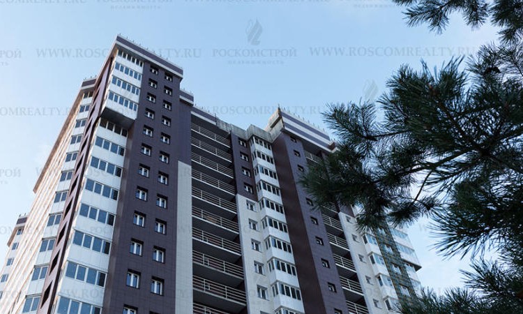 ЖК Купавино