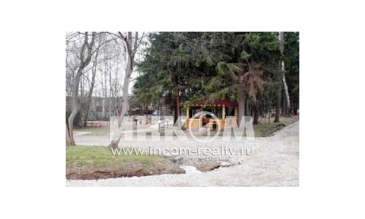 Forest Spring (Лесной Родник)