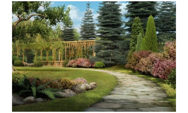 Madison Park (Мэдисон Парк)