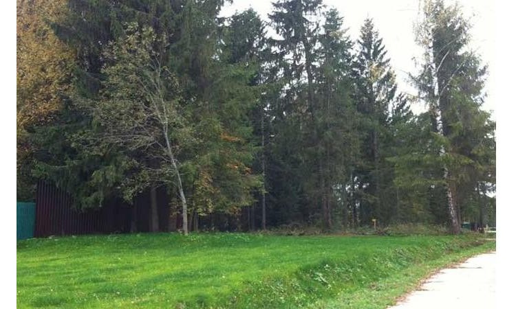 Riga Forest: поселок Лесницыно (Рига Форест)