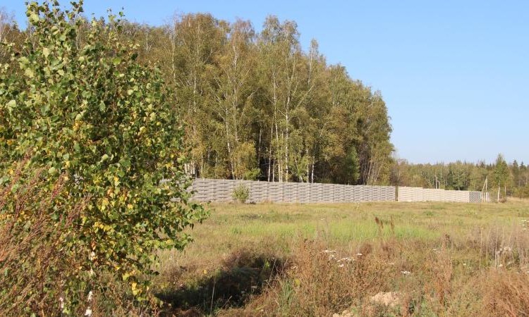 Арнеево 2