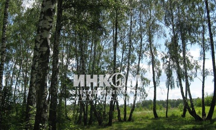 Арнеевские дачи