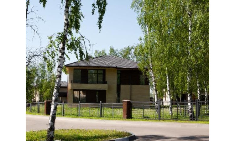 Березовая аллея