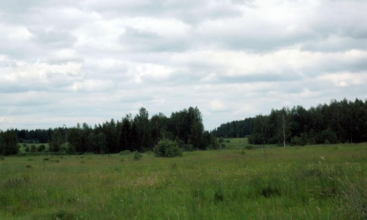 Ближний берег