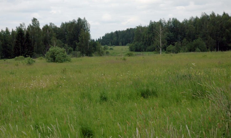 Ближний берег