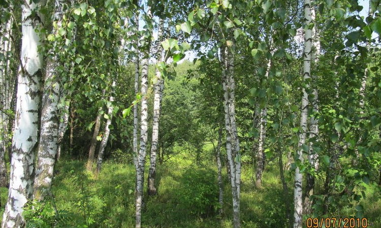 Боборыкино