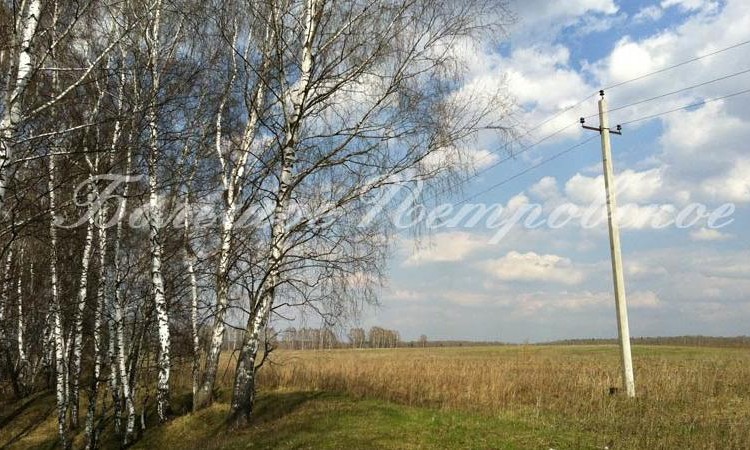 Большое Петровское