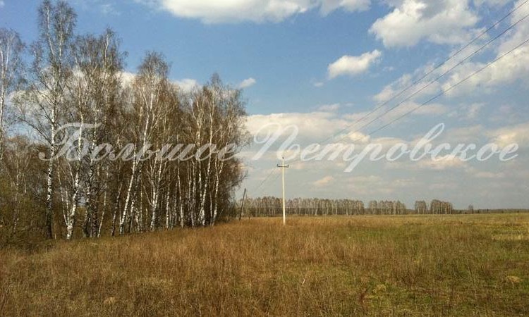 Большое Петровское