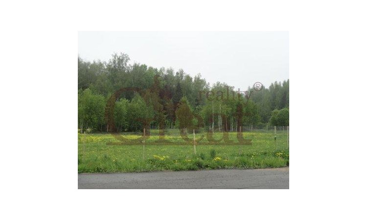 Боровик