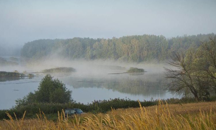 Вельга Парк