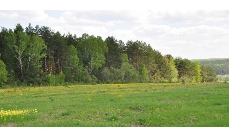 Вороново