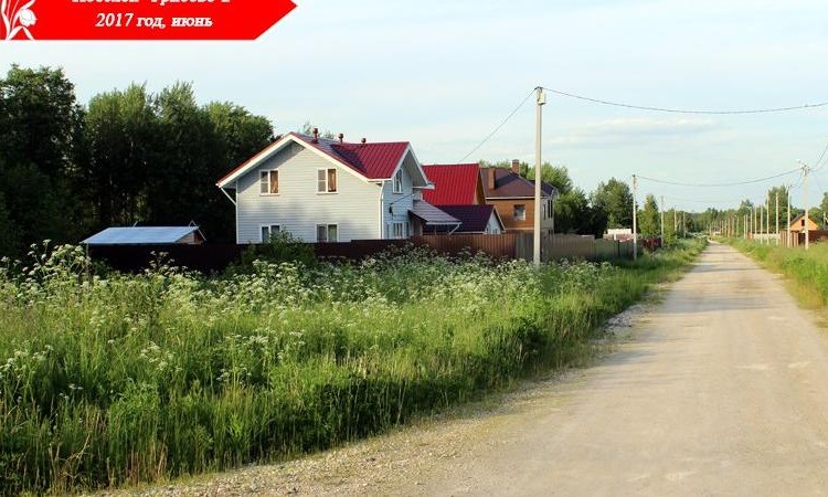 Грибово 1, 2