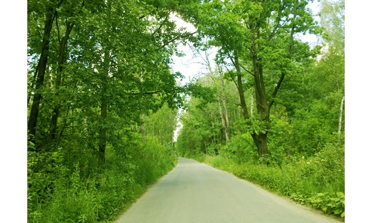 Елизарово park (Елизарово парк)