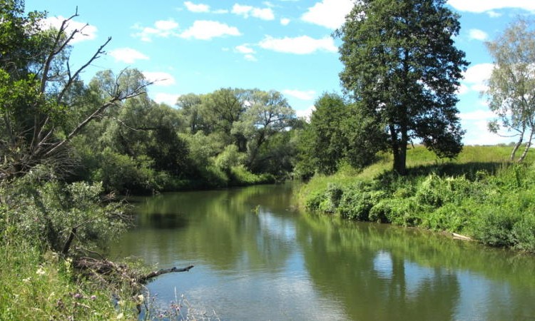 Журавлево-2