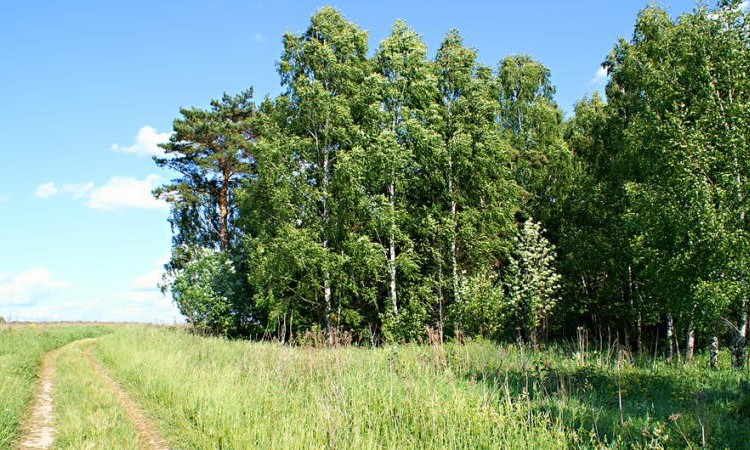 Журавлево-2