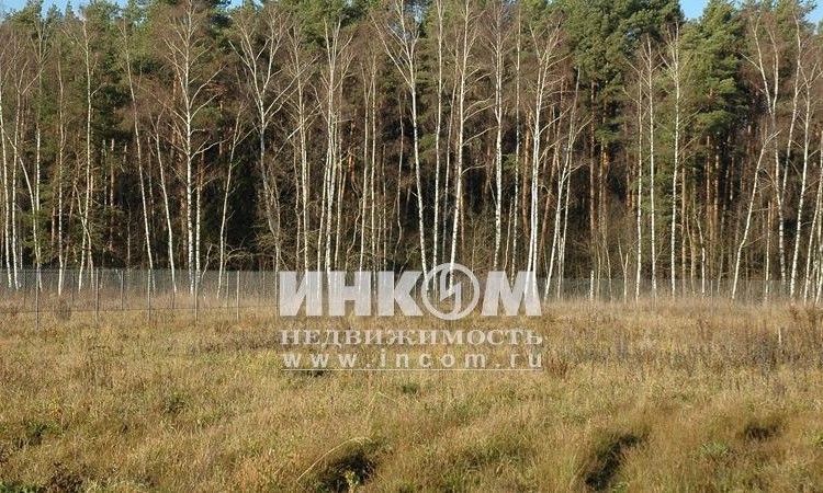 Заповедный парк 2