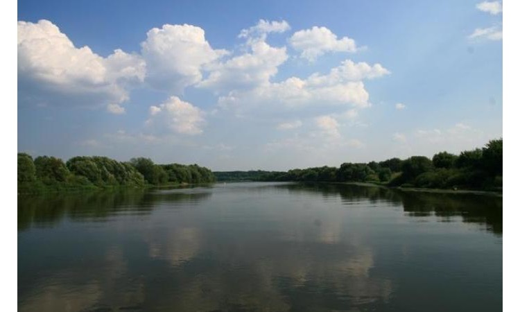 Коломенские сады