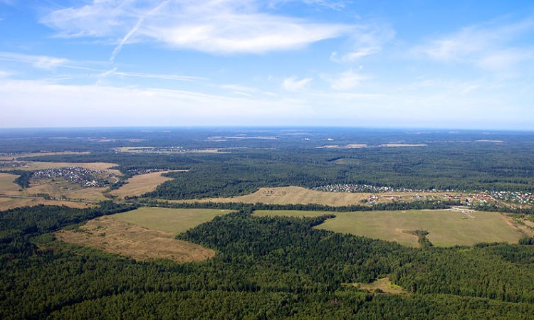 Красная сторожка