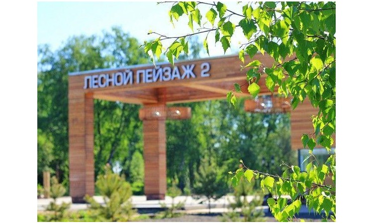 Лесной пейзаж