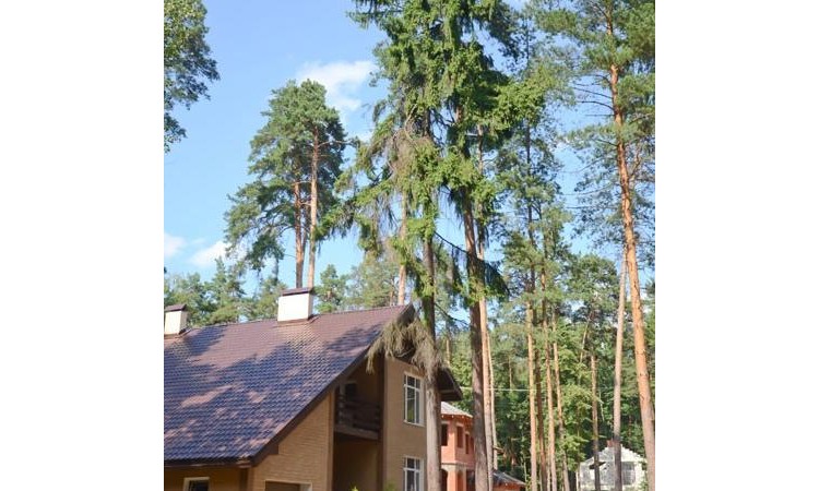 Малаховка парк
