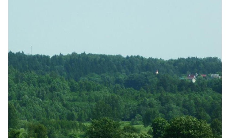 Михайловка