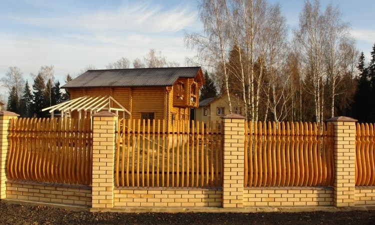 Мишкин лес