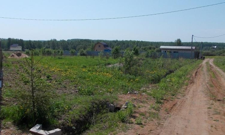 Новое Шарапово