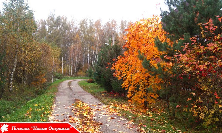 Новые Острожки