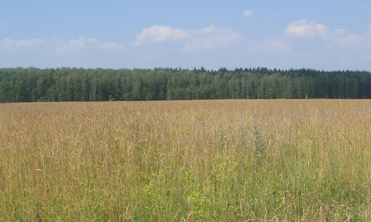 Озерный