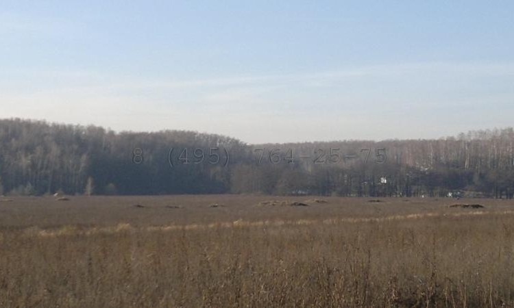 Остров (Айленд)