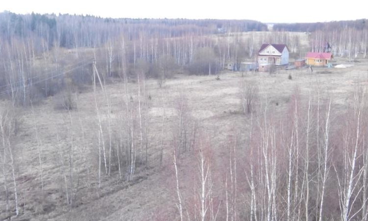 Плешкино