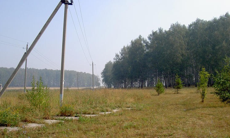 Полесье
