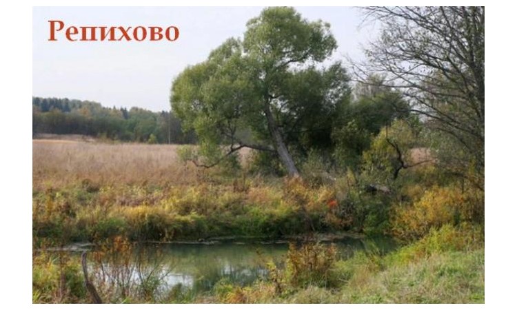 Репихово