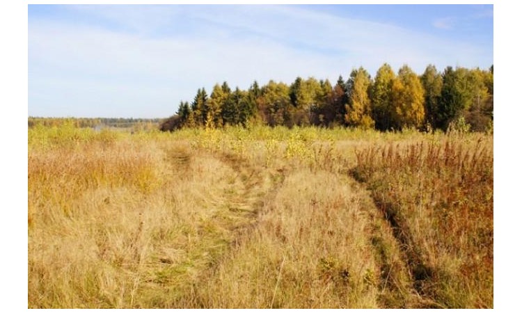 Родной берег