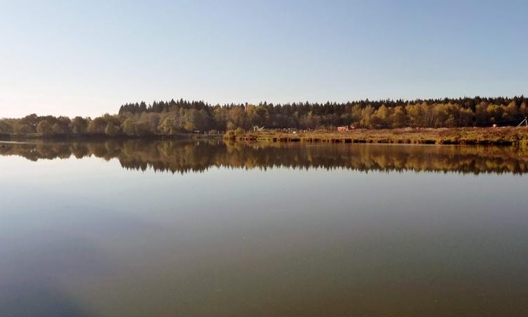 Русская усадьба