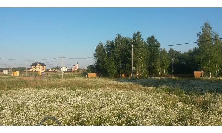 Соколиная гора