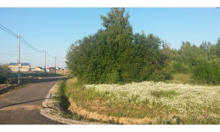 Соколиная гора