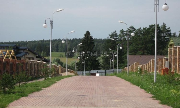 Сосновый бор