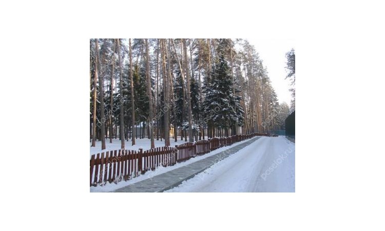 Сосновый остров