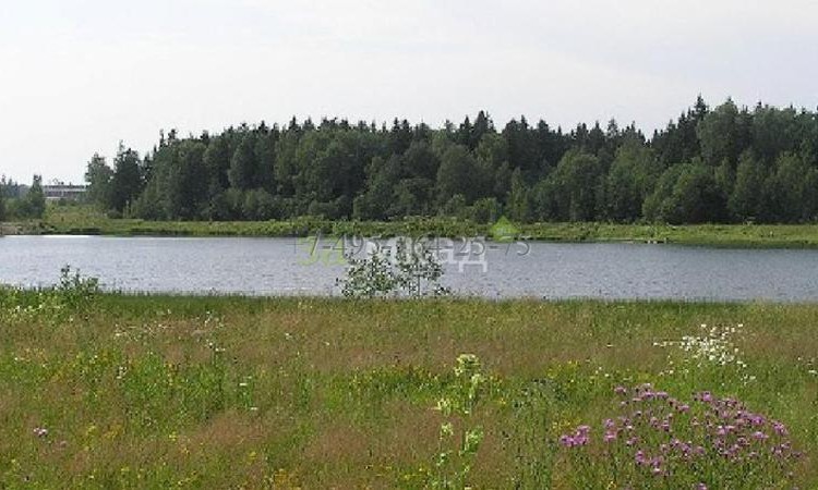 Степаньково