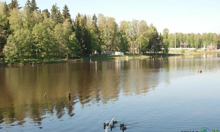У озера