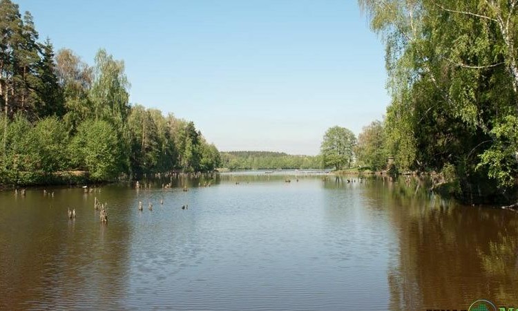 У озера