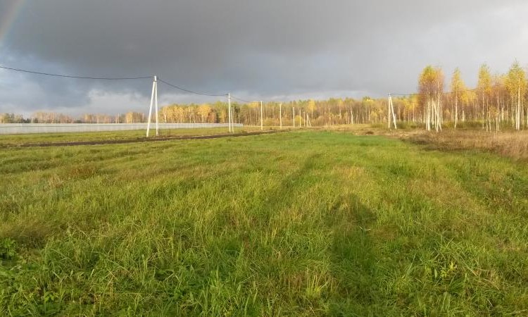 Успенское