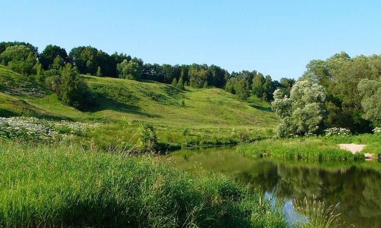 Эко.дачи