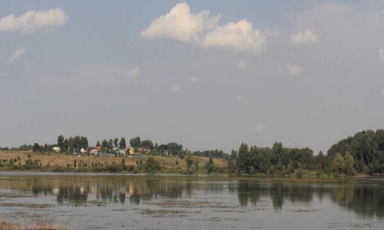 Экопарк Honka (Экопарк Хонка)