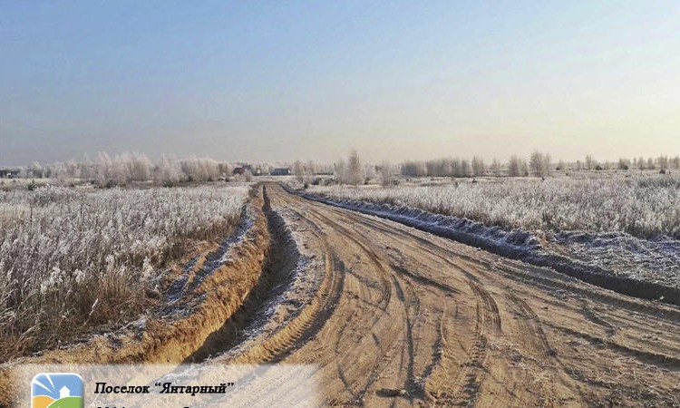 Янтарный